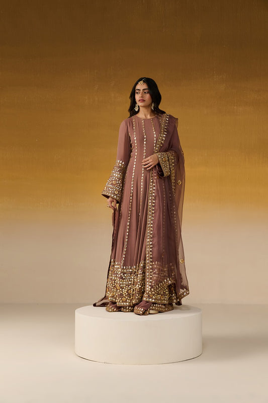 Georgette Fabric Embroidered