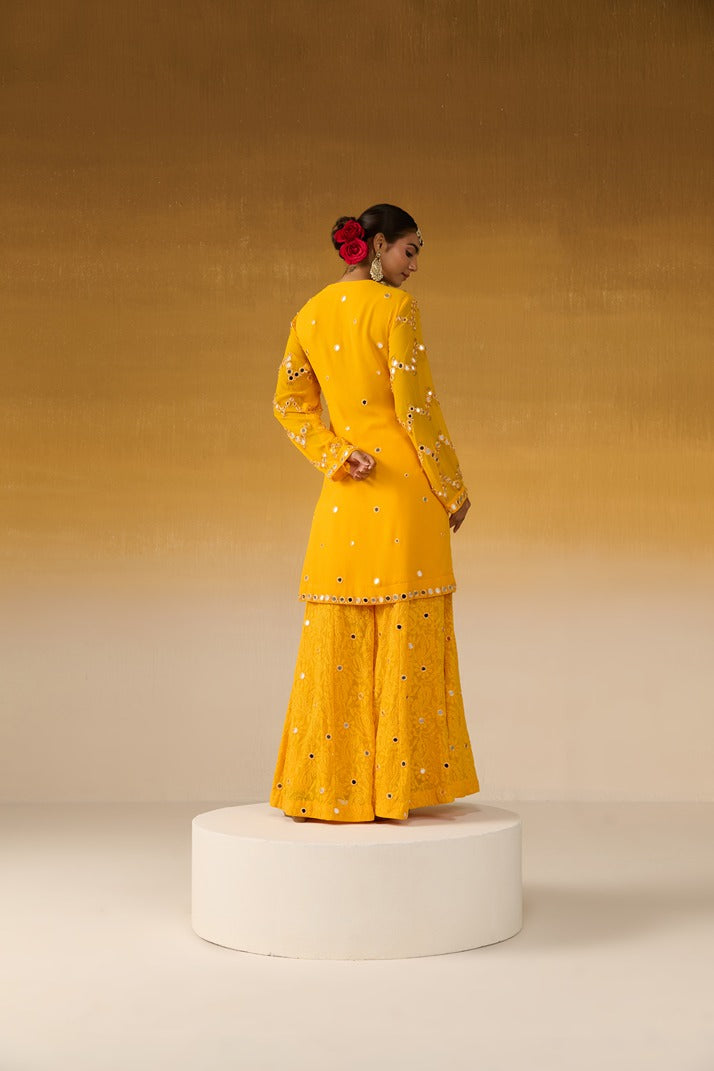 Georgette Fabric Embroidered