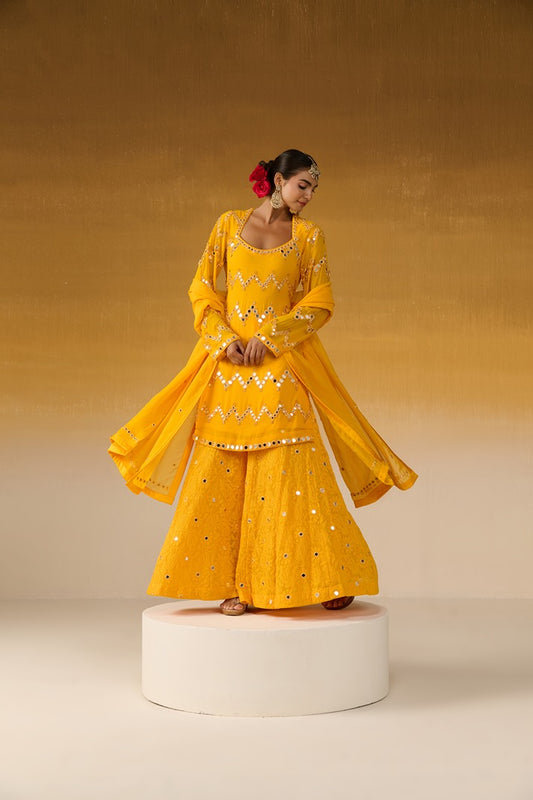 Georgette Fabric Embroidered