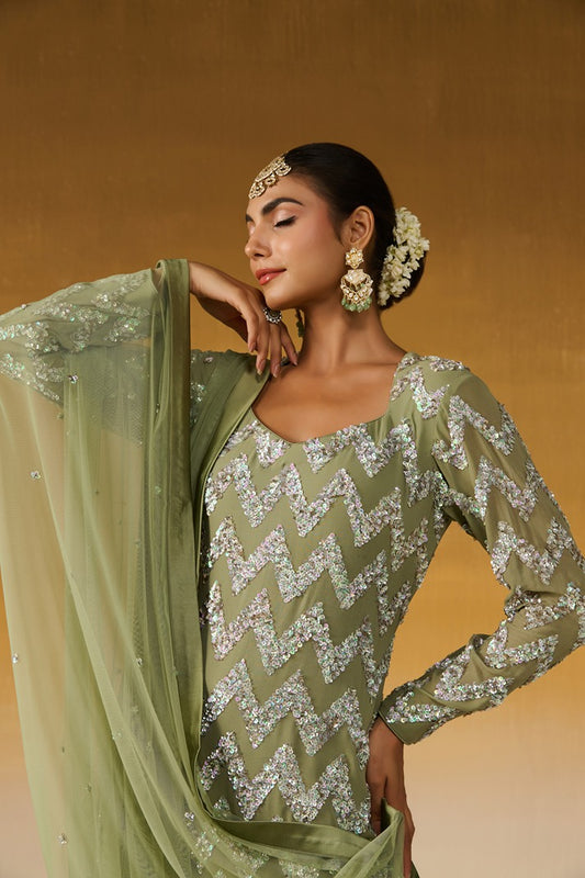 Georgette Fabric Embroidered