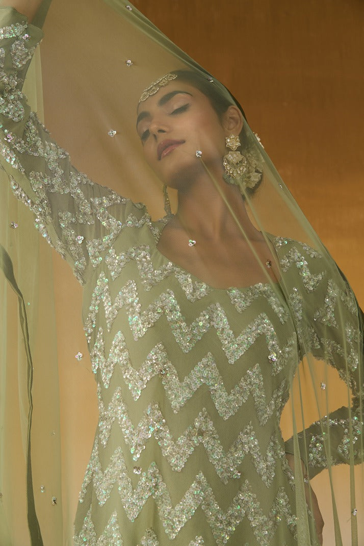 Georgette Fabric Embroidered