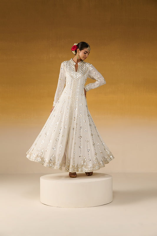 Georgette Fabric Embroidered