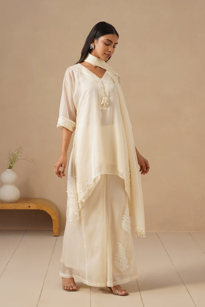 Organza Silk with Sharara