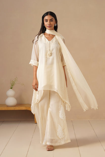 Organza Silk with Sharara
