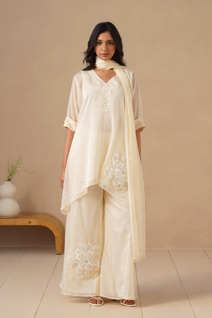 Organza Silk with Sharara
