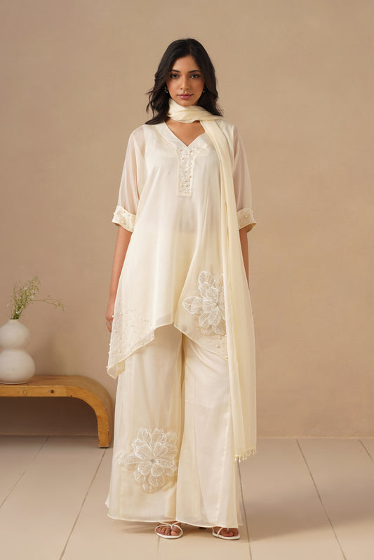 Organza Silk with Sharara
