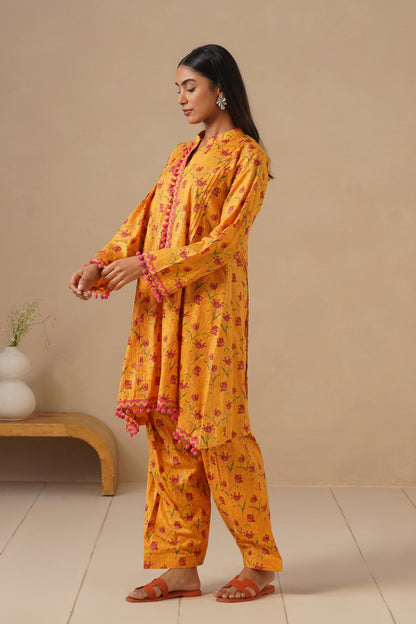 Cotton Fabric with Lases and  Pants