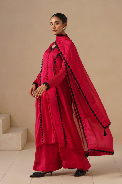 Organza Silk Fabric with Lases with Sharara