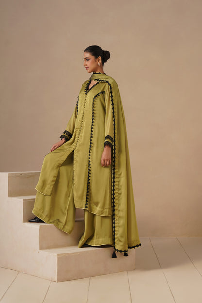 Organza Silk Fabric with Lases with Sharara