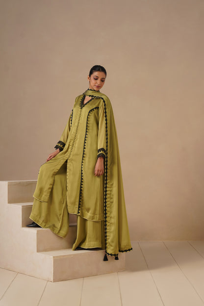 Organza Silk Fabric with Lases with Sharara