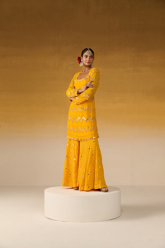 Georgette Fabric Embroidered