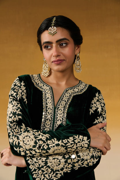 Velvet Fabric Embroidered